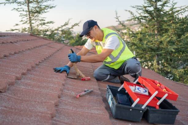 Best Roof Gutter Cleaning  in Cullman, AL